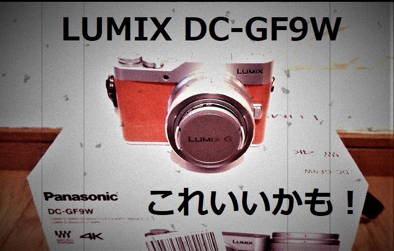 28000円 即納 ああ様専用 Panasonic DC−GF9 DC-GF9W-D