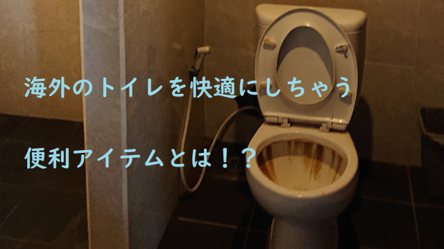 海外のトイレ事情が気になる方もこのアイテムがあれば安心！